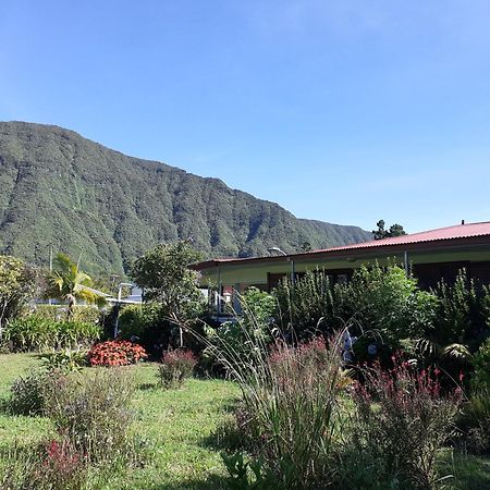 Le Clos des Mimosas La Plaine-des-Palmistes Exterior foto
